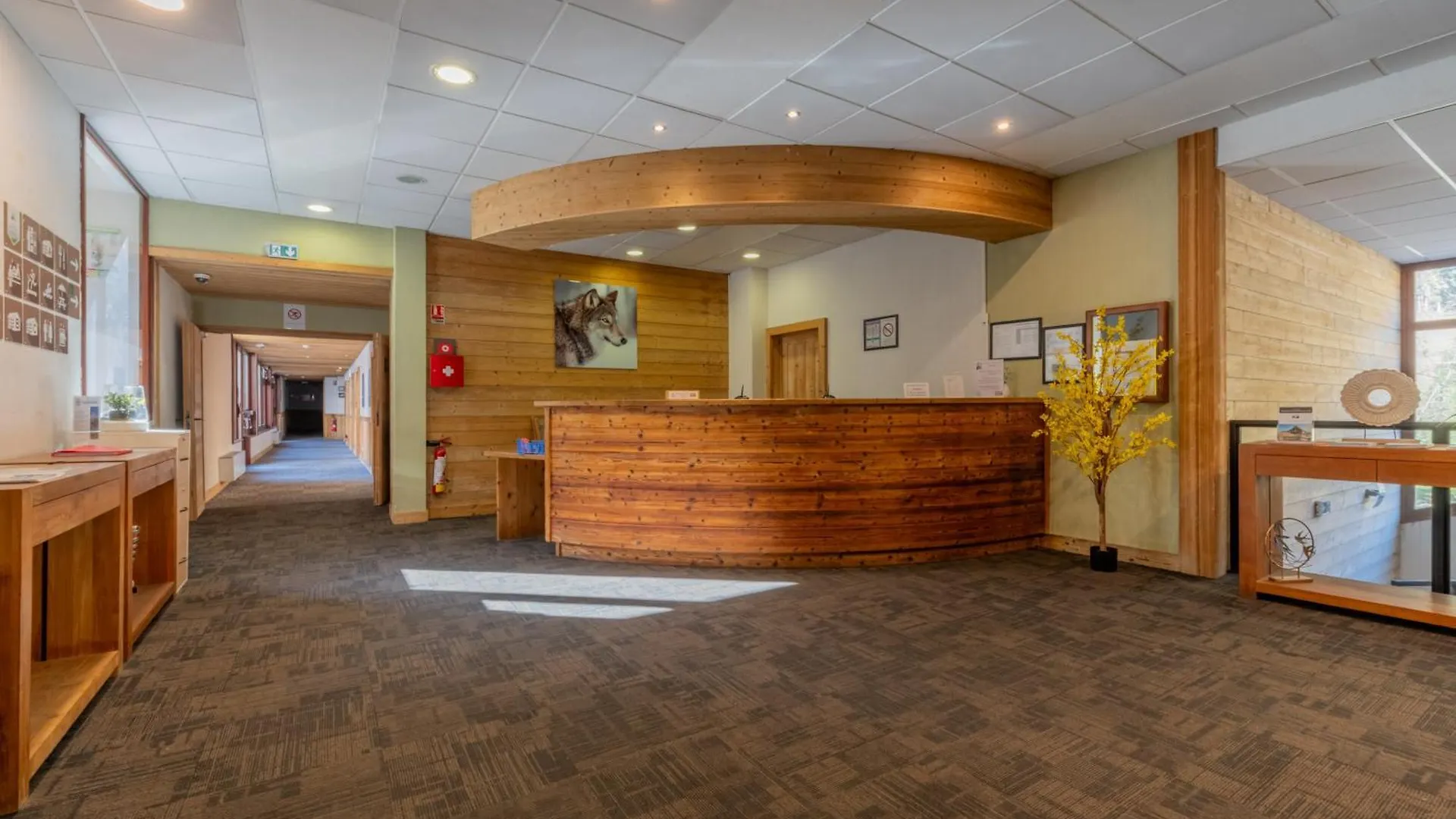 Apartment L'Ours Bleu B01 - Ski In Ski Out - Happy Rentals Vallorcine